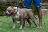 DSC01444.jpg